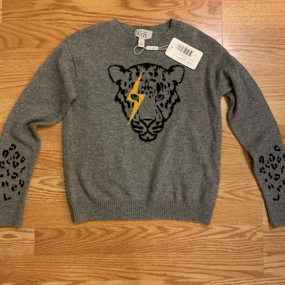 Autumn cashmere lightening eye leopard sweater